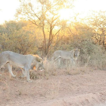 Kwalata Game Lodge Klipdrift Kültér fotó