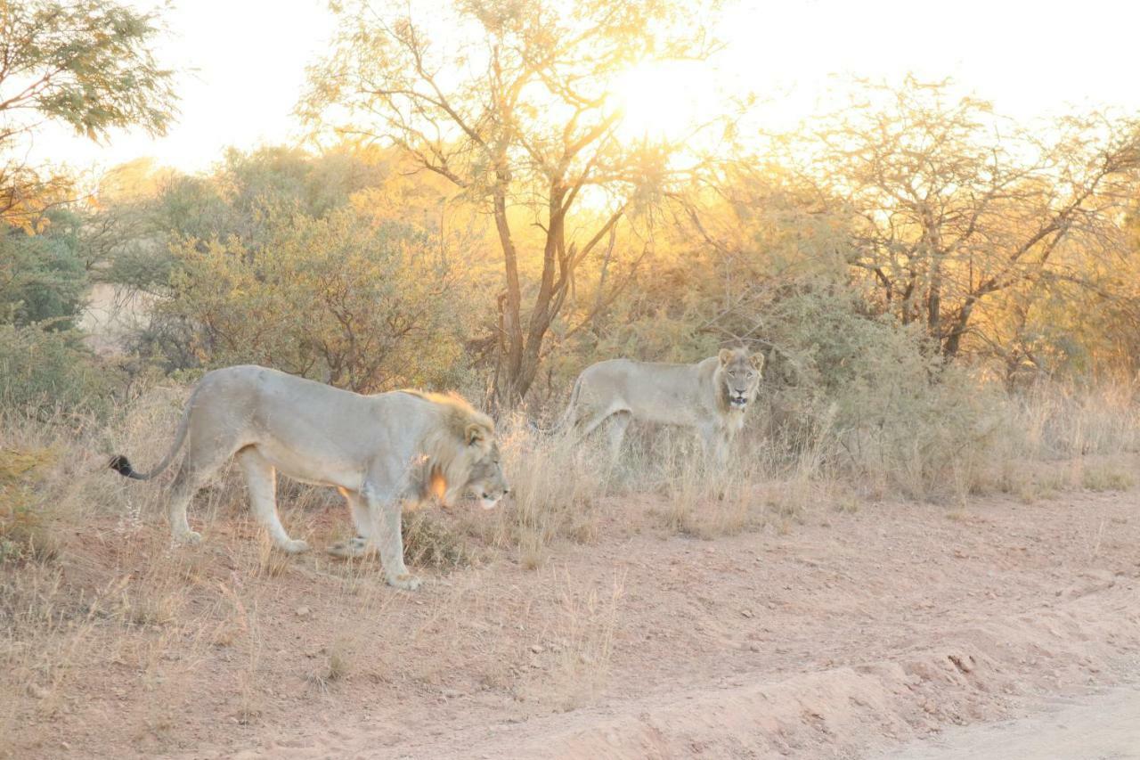Kwalata Game Lodge Klipdrift Kültér fotó