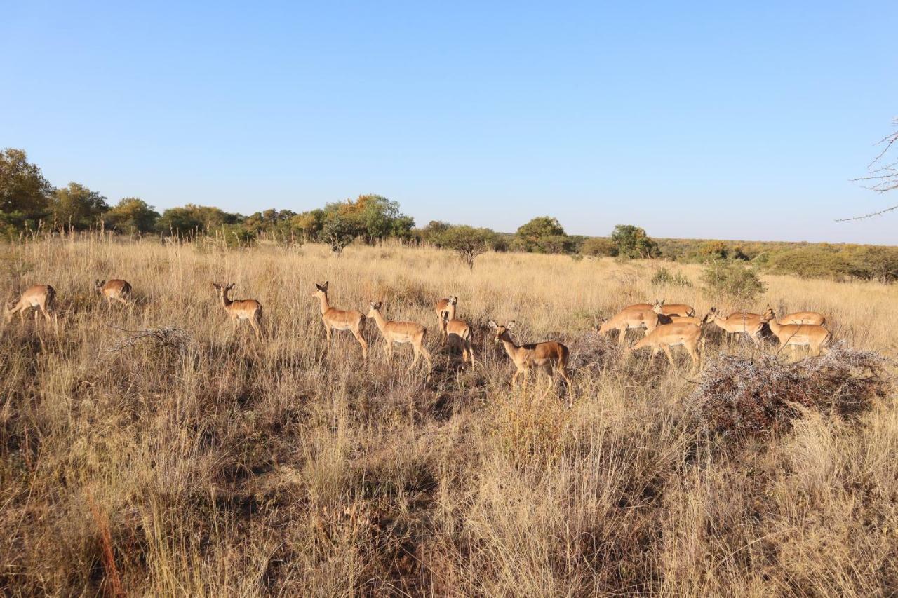 Kwalata Game Lodge Klipdrift Kültér fotó